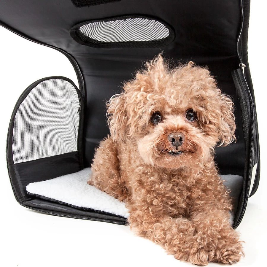 PetSmart Airline-Approved Pet Carrier for Travel - Lightweight & Durable Cage for Dogs & Cats