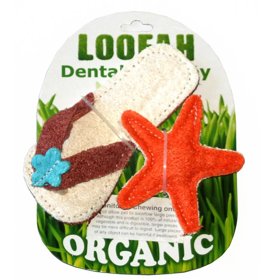 PetSmart Dog Chew Toy - Loofah Dental Chew for Beach Loving Dogs, Hip Doggie Dental Set for Teeth Cleaning