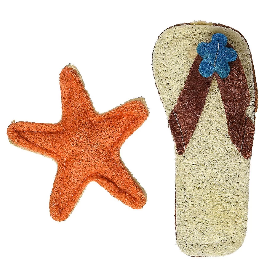 PetSmart Dog Chew Toy - Loofah Dental Chew for Beach Loving Dogs, Hip Doggie Dental Set for Teeth Cleaning