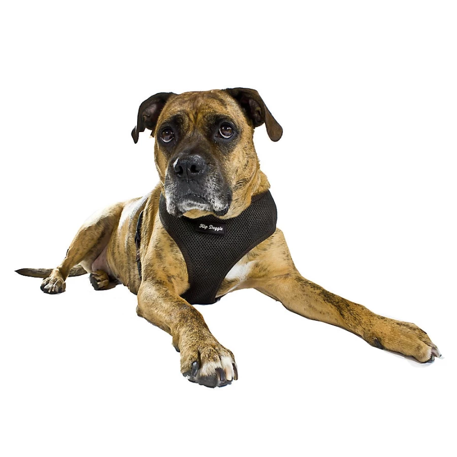 PetSmart Ultra-Comfort Hip Doggie No-Pull Dog Harness Vest for Small & Medium Breeds