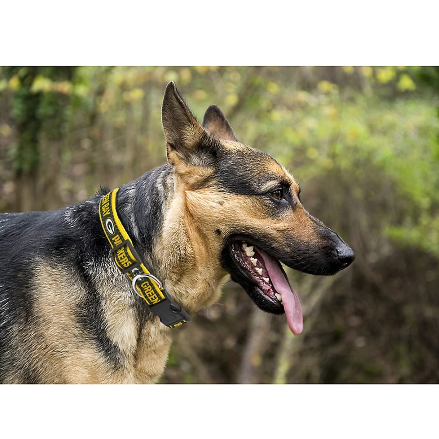 Official Green Bay Packers NFL Pet Dog Collar - Team Logo Design, Adjustable & Durable, by PetSmart
