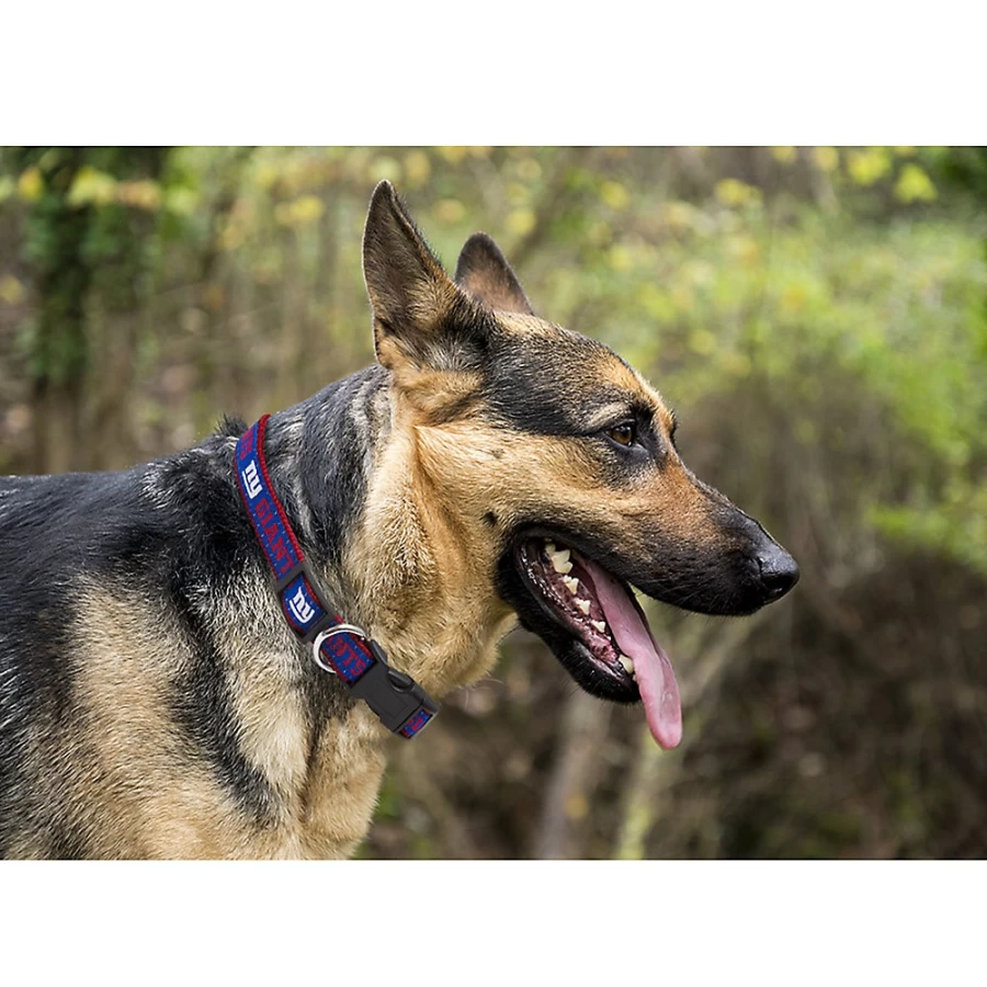 New York Giants NFL Officially Licensed Dog Collar – PetSmart Team Spirit Pet Accessories