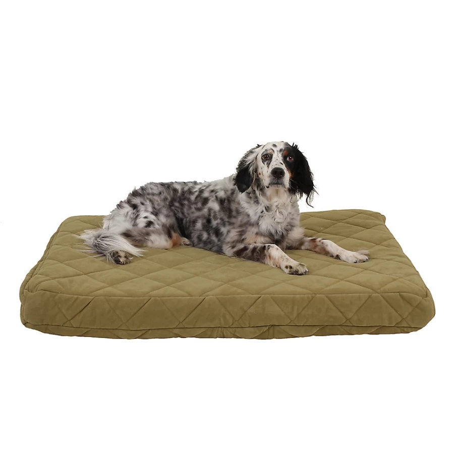 PetSmart Jamison Quilted Dog & Cat Bed Protector – Carolina Pet Collection