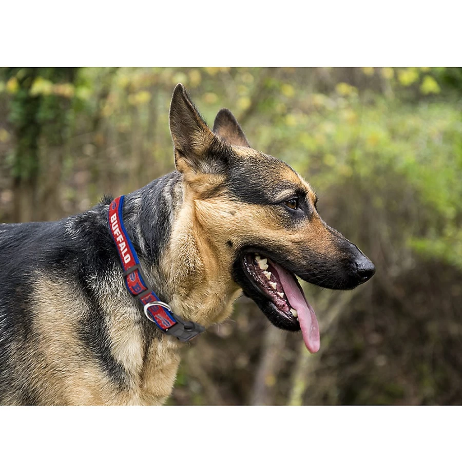 "PetSmart Buffalo Bills NFL Dog Collar – Official Team Design Pet Accessory"