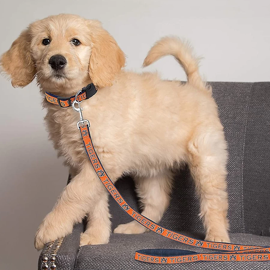 "PetSmart Auburn Tigers NCAA Themed Dog Leash for Fans"