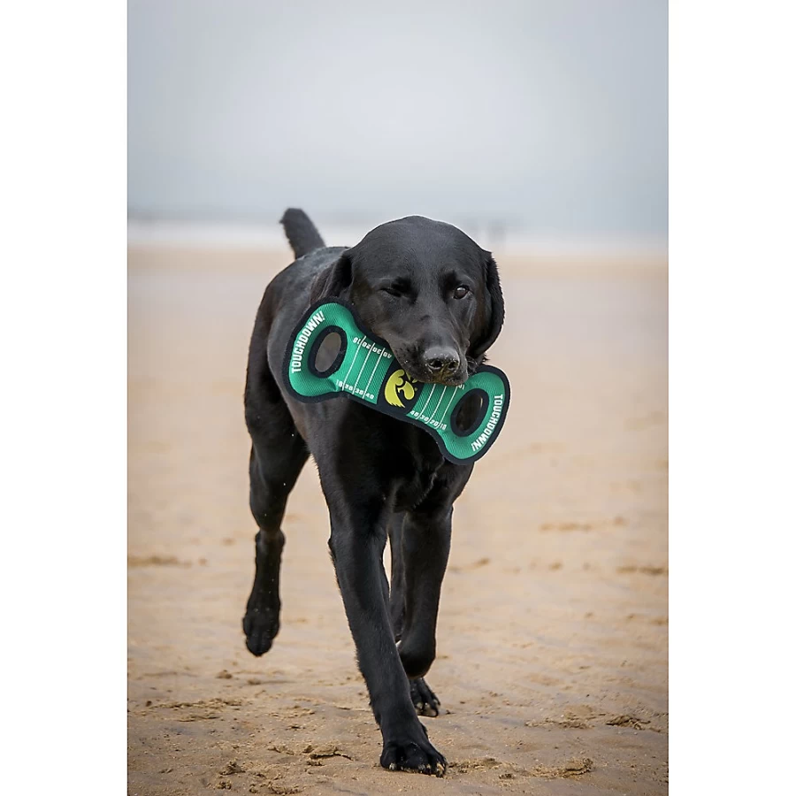 "Iowa Hawkeyes NCAA Pet Dog Toy - Officially Licensed College Team Chew Play Fetch, PetSmart"