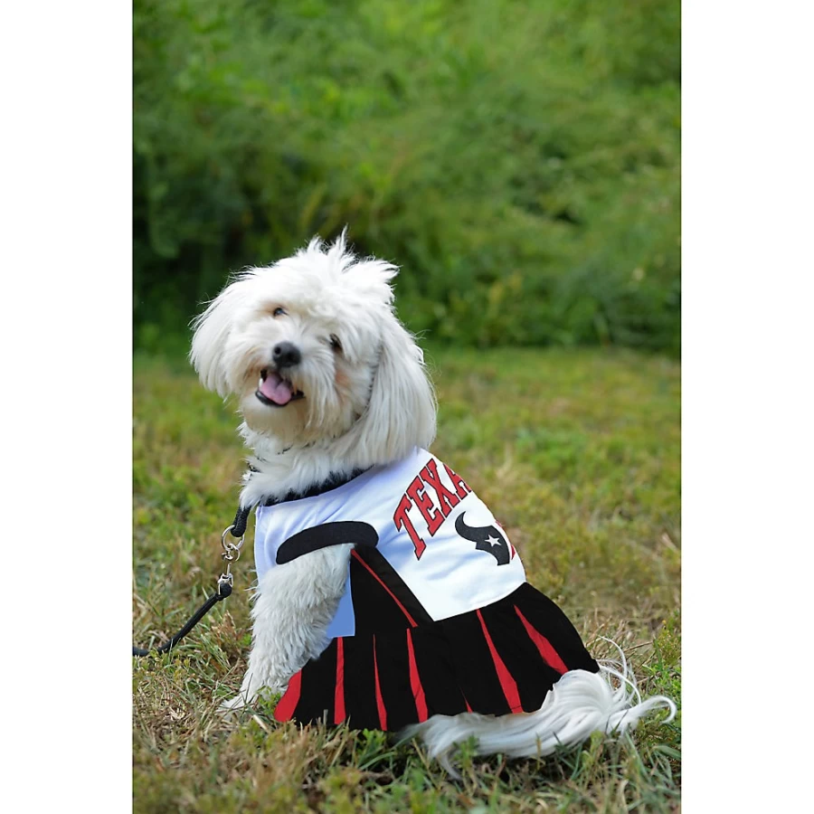 Houston Texans NFL Cheerleader Outfit - Official Style Costume for Fans and Performers