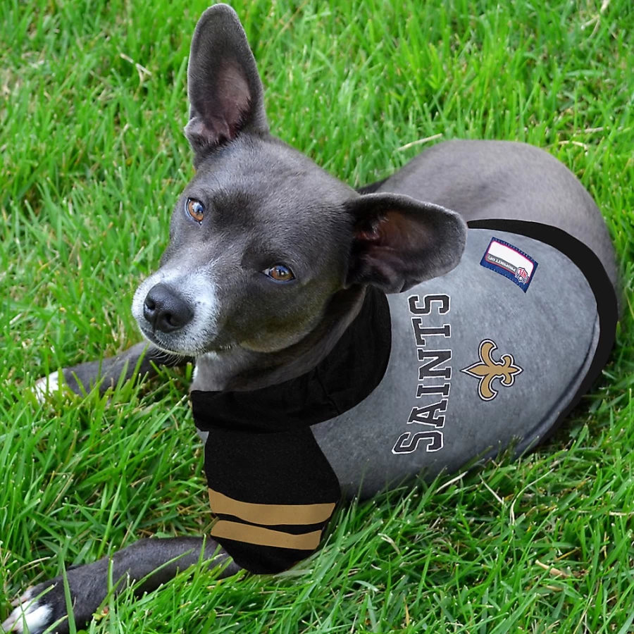 New Orleans Saints NFL Hooded Sweatshirt - PetSmart Team Fan Apparel