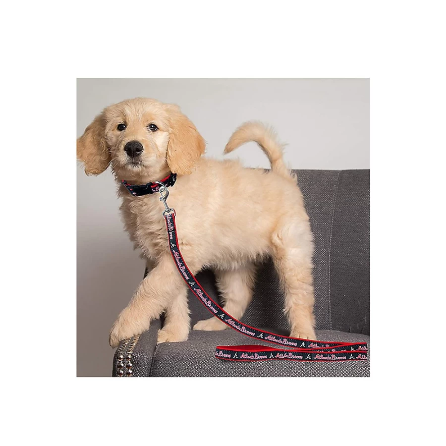 "PetSmart Atlanta Braves MLB Dog Leash - Officially Licensed Baseball Team Pet Accessory"