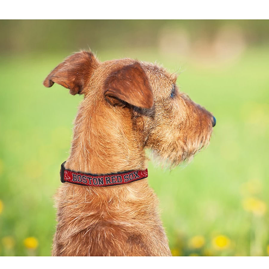 "PetSmart Boston Red Sox MLB Team Logo Adjustable Dog Collar for Pets"