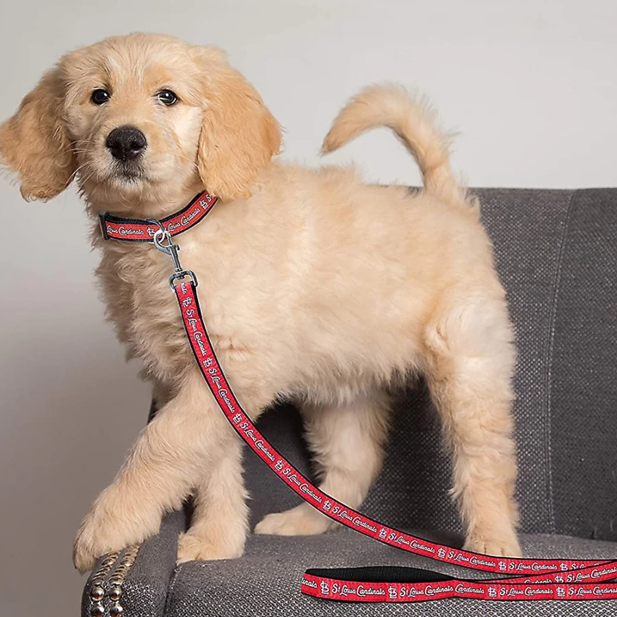 St. Louis Cardinals MLB Pet Dog Leash for Baseball Fans – PetSmart Official