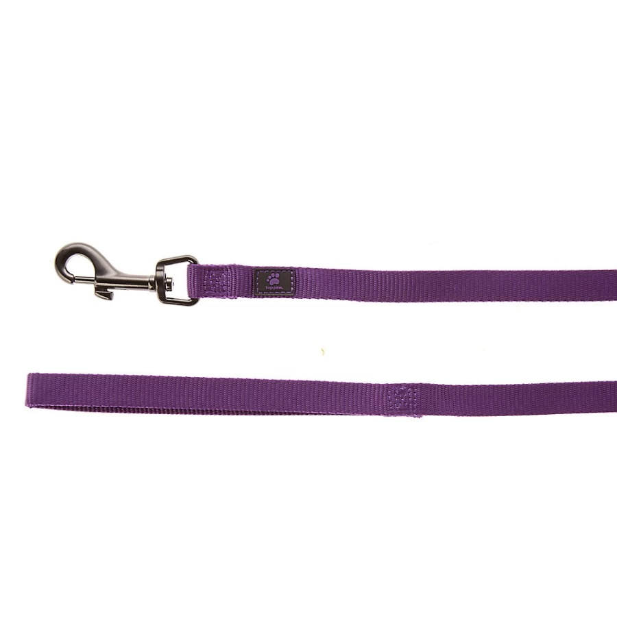 PetSmart Top Paw 6-Foot Gunmetal Heavy-Duty Dog Leash for Secure Walks