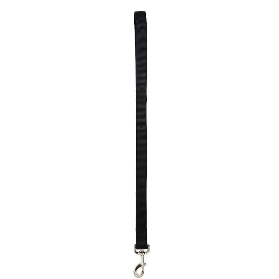 PetSmart Top Paw Traffic Handle Reflective Dog Leash for Safe Night Walks