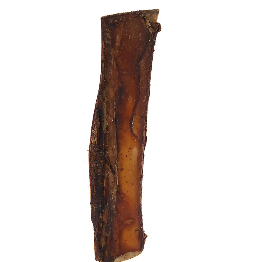 PetSmart Dentley's Nature's Chews Natural Beef Rib Bone Dog Treat - 1 Count, Long-Lasting Chew for Medium to Large Dogs