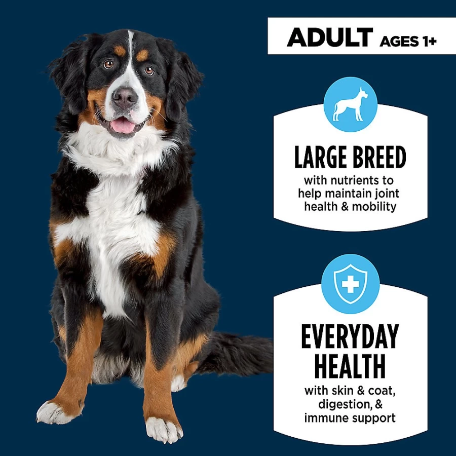 PetSmart Authority Everyday Health Large Breed Adult Dry Dog Food - Chicken Recipe, High Protein & Nutrient-Rich Formula