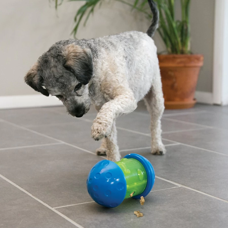 PetSmart KONG Spin It Interactive Treat Dispensing Dog Toy for Mental Stimulation