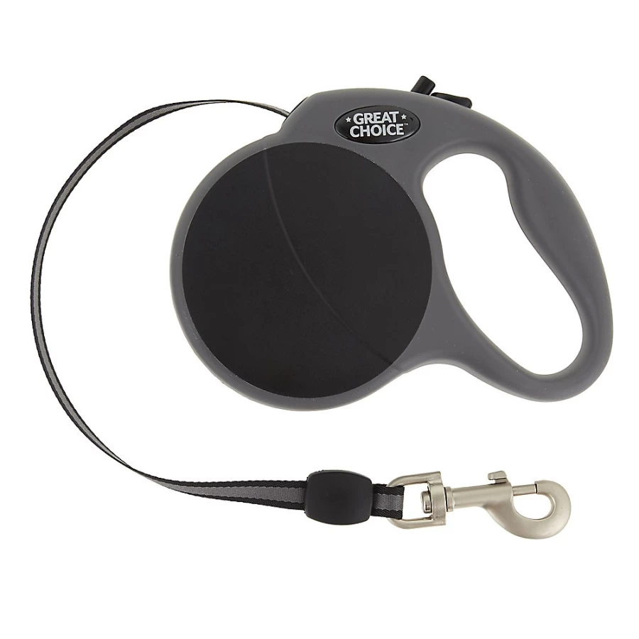 PetSmart Retractable Dog Leash - Adjustable, Durable Tape Lead for Easy Walks