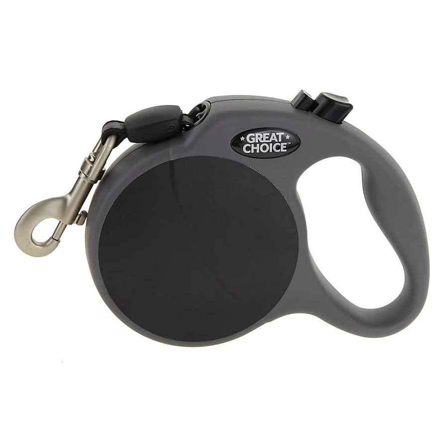 PetSmart Retractable Dog Leash - Adjustable, Durable Tape Lead for Easy Walks