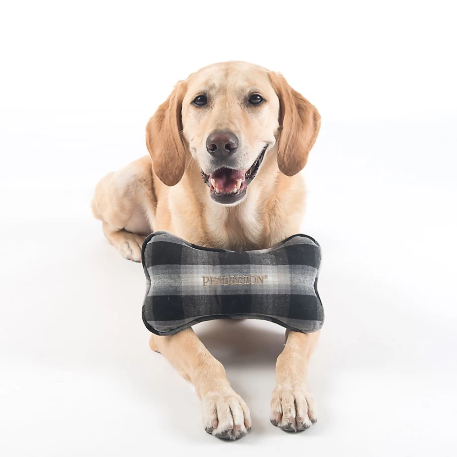 PetSmart Pendleton Ombre Plaid Plush Dog Toy - Durable Bone Design for Playful Pups