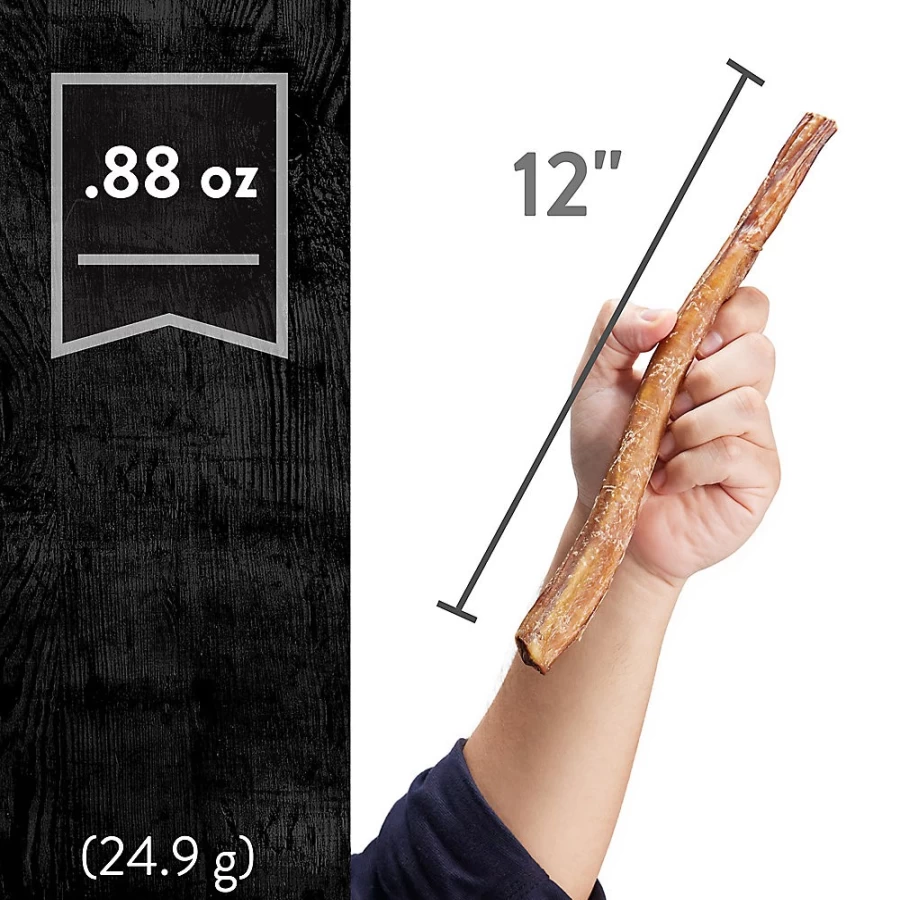 PetSmart Dentley's Natural Bully Stick Dog Chew - Single 12-Inch Rawhide-Free Treat for Medium/Large Breeds