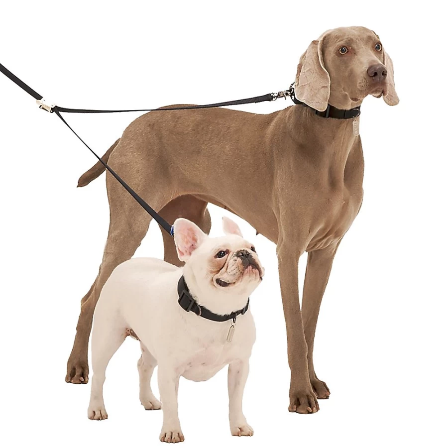 PetSmart Sporn Black Double Adjustable Heavy-Duty Dog Leash for Large Dogs by Top Paw