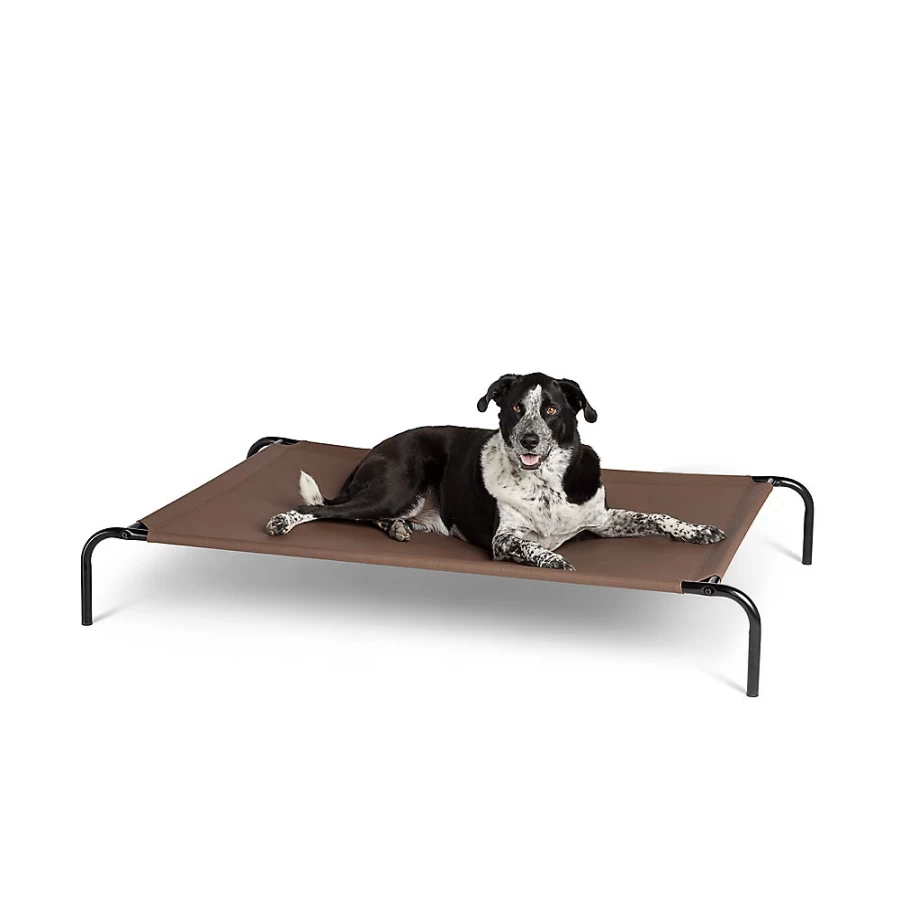 PetSmart Elevated Dog Bed for Indoor & Outdoor Use - Top Paw Comfortable Raised Pet Cot