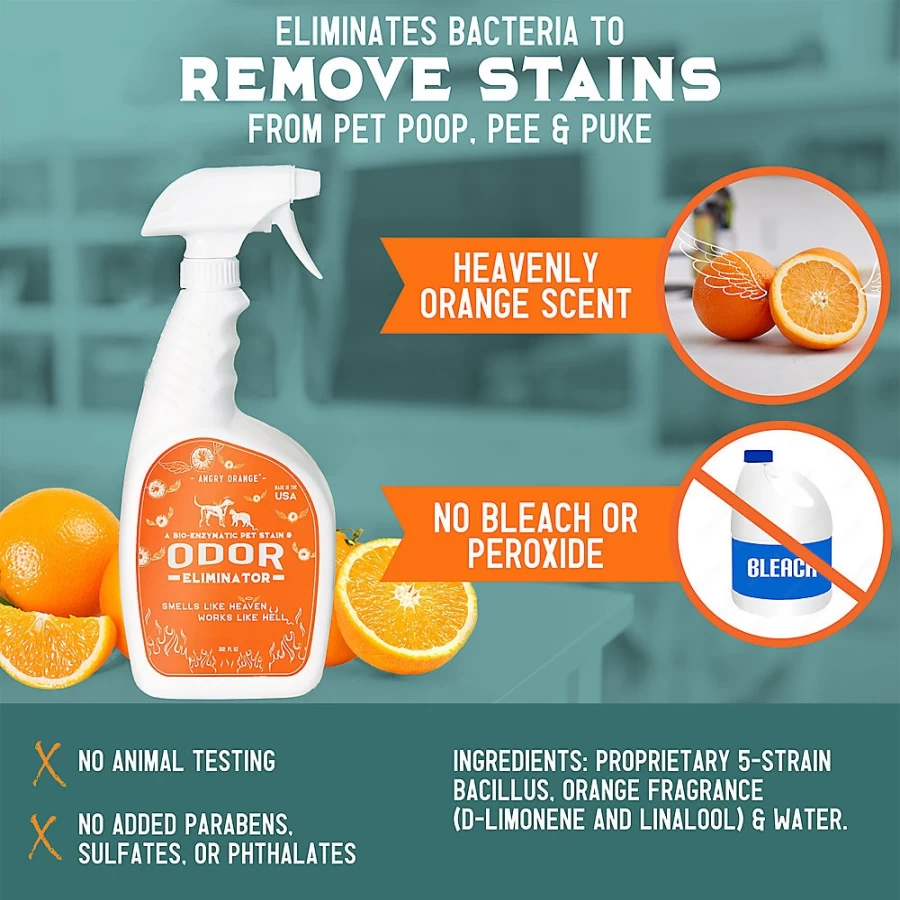 PetSmart Angry Orange Pet Stain & Odor Eliminator - Powerful Enzyme Cleaner for Dogs & Cats