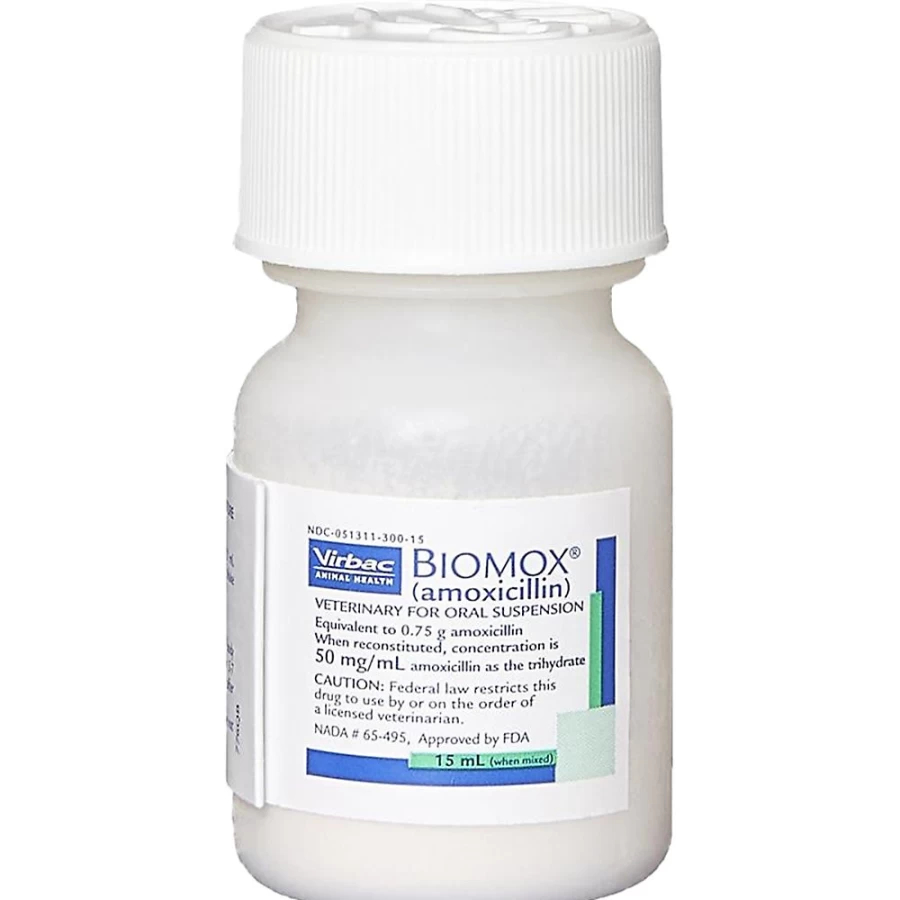 PetSmart Biomox Amoxicillin 50mg/ml Oral Suspension for Dogs - 15ml & 30ml Antibiotic Treatment