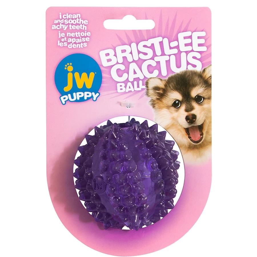 PetSmart JW Pet Bristl-ee Cactus Ball - Chew-Resistant Dog Toy for Dental Health & Play