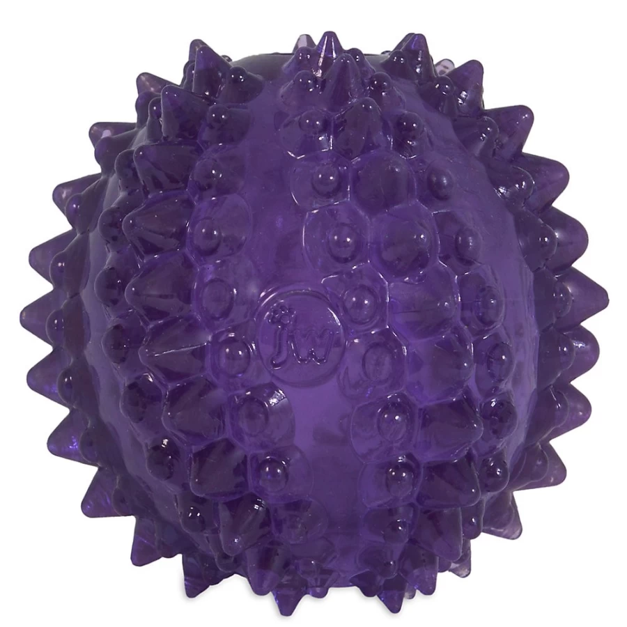 PetSmart JW Pet Bristl-ee Cactus Ball - Chew-Resistant Dog Toy for Dental Health & Play