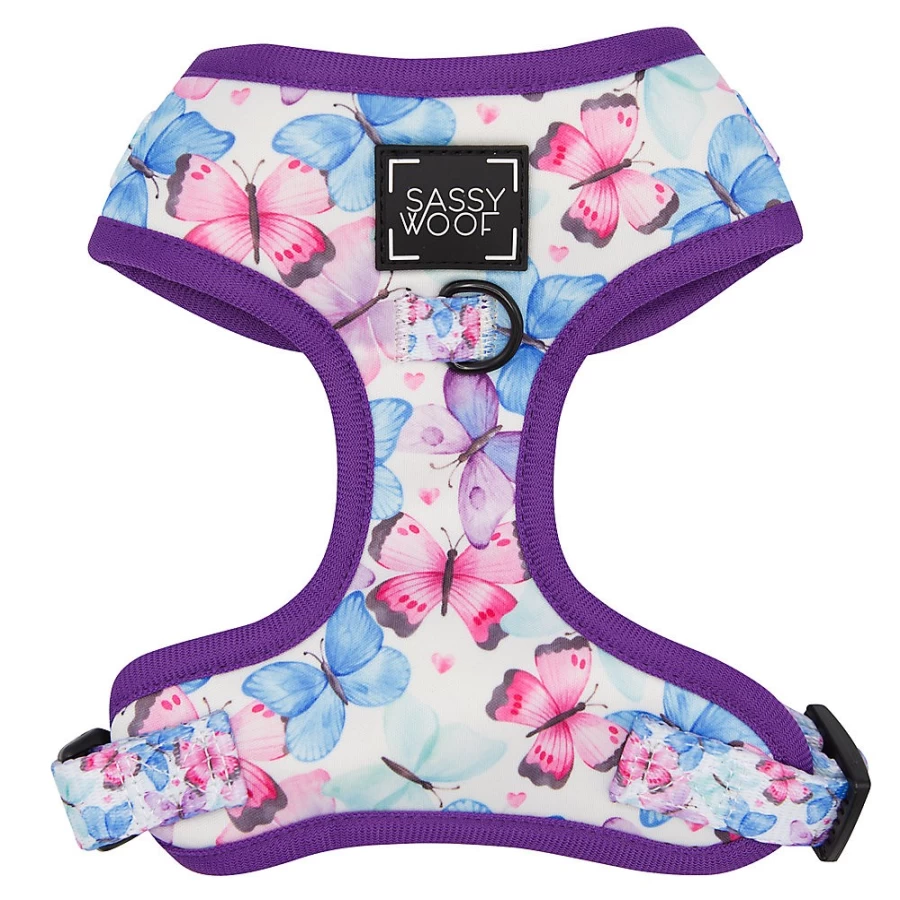 PetSmart Sassy Woof Social Butterfly Adjustable Dog Harness for Small & Medium Breeds
