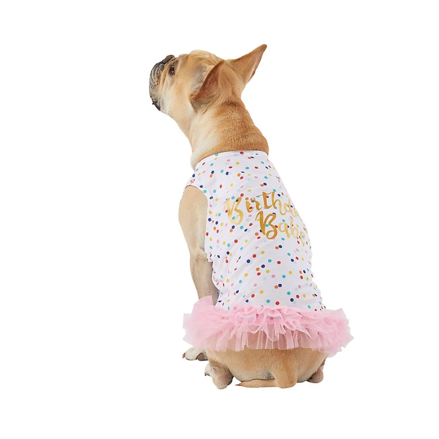 PetSmart Top Paw Birthday Babe Dog Dress for Celebrations - Cute Canine Party Outfit