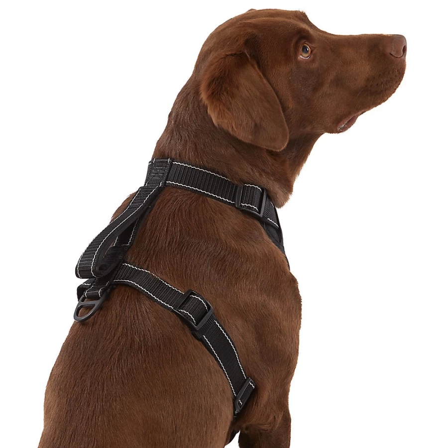PetSmart KONG MAX Comfort Padded Neoprene Dog Harness for Secure Fit & Durability