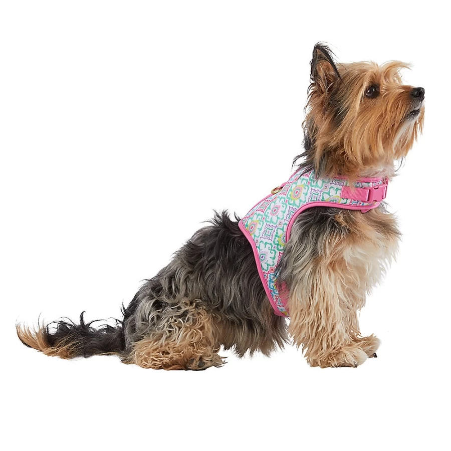 PetSmart Adjustable Floral Dog Harness - Green & Pink Top Paw Vest for Secure Fit