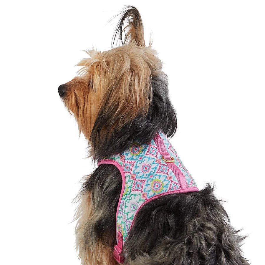 PetSmart Adjustable Floral Dog Harness - Green & Pink Top Paw Vest for Secure Fit
