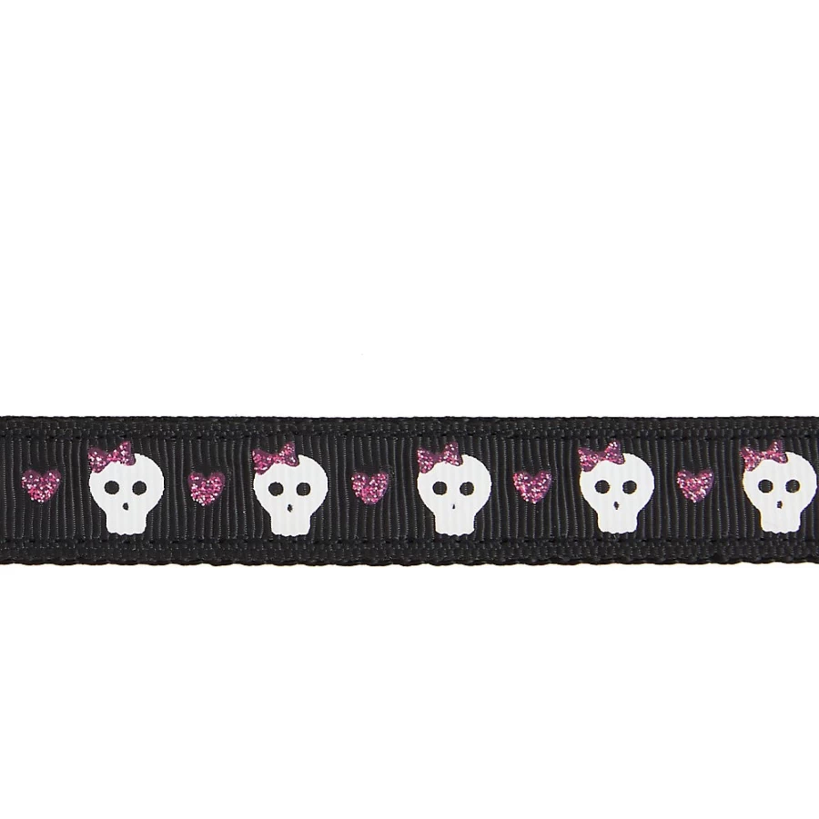 PetSmart Top Paw Black and Pink Skull Print Dog Leash - 6 Foot Nylon Lead, 5/8 Inch Width for Medium to Large Dogs