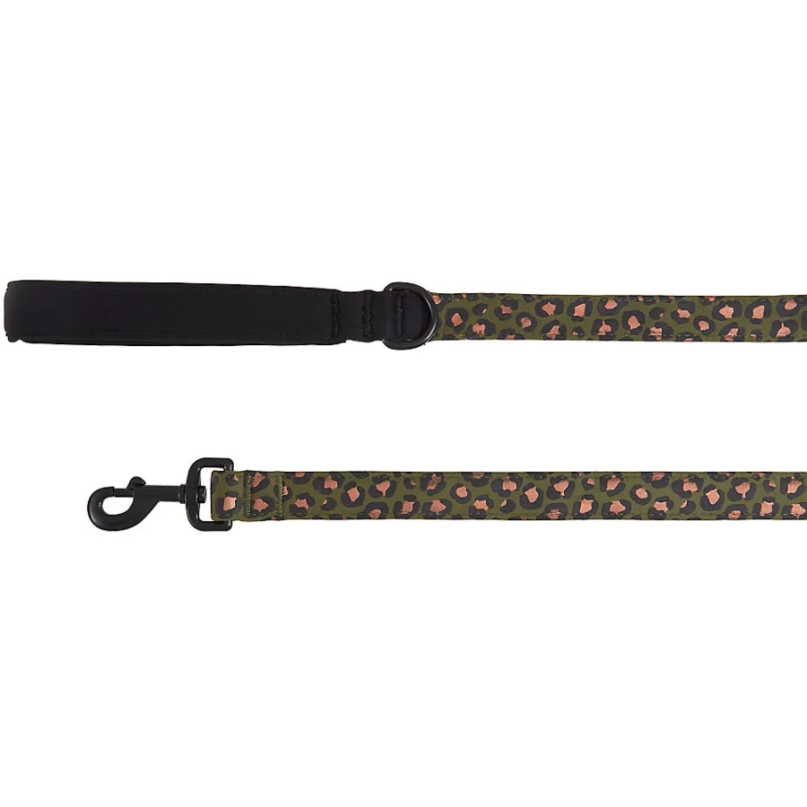 PetSmart Top Paw 4-Foot Green Cheetah Print Neoprene Dog Leash - 1-Inch Wide Comfortable Pet Lead