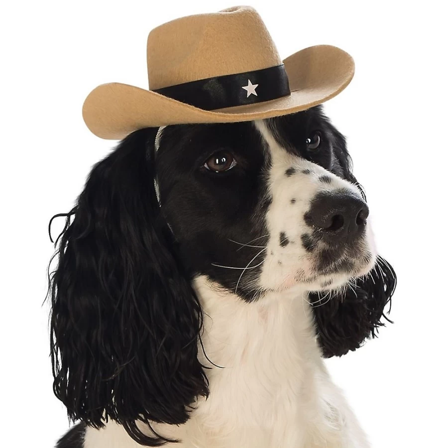 PetSmart Cowboy Hat Dog Costume - Rubie's Costume Company Western Pet Outfit