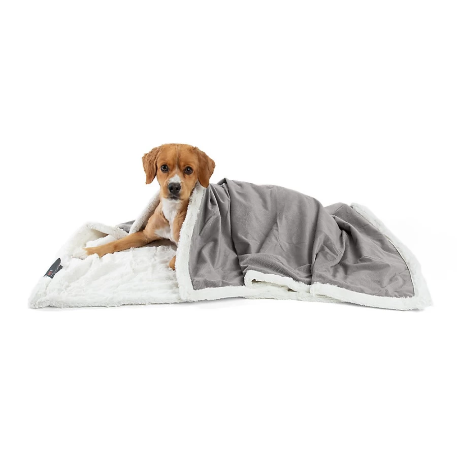 PetSmart Sheri Ilan Best Friends Microfiber Cat and Dog Blanket for Pets