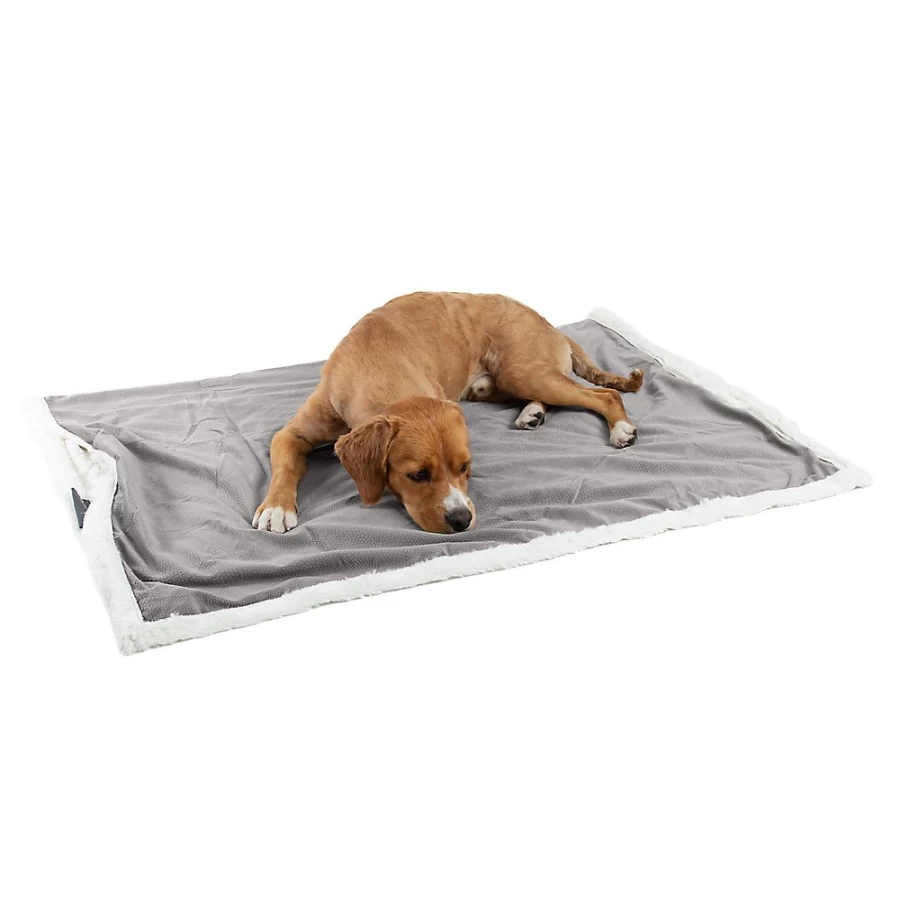 PetSmart Sheri Ilan Best Friends Microfiber Cat and Dog Blanket for Pets