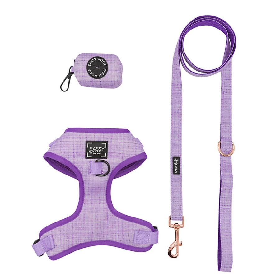 PetSmart Sassy Woof Aurora Reflective Dog Harness, Leash & Poop Bag Dispenser Set for Small to Large Dogs