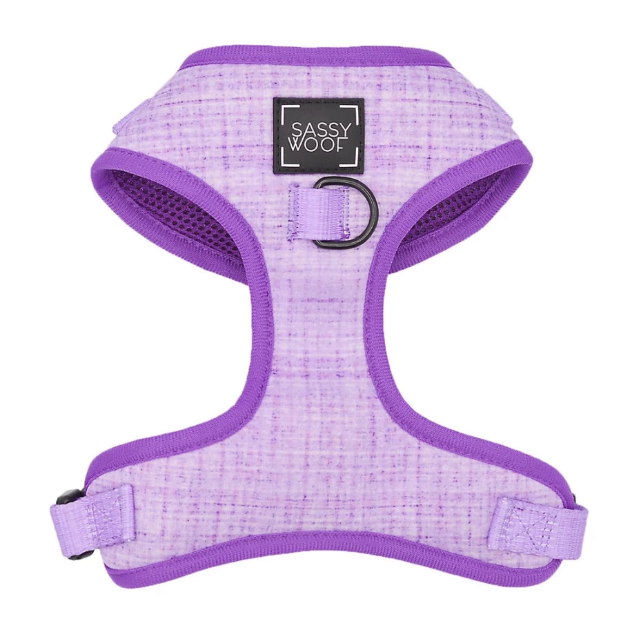 PetSmart Sassy Woof Aurora Reflective Dog Harness, Leash & Poop Bag Dispenser Set for Small to Large Dogs