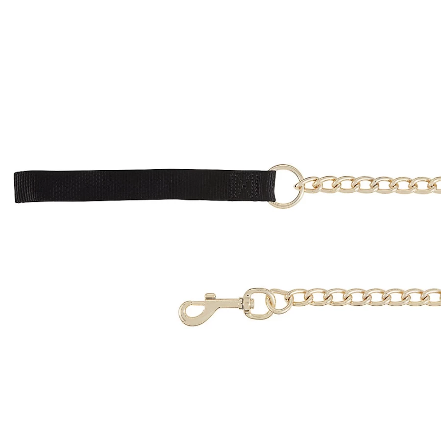 PetSmart 4-Foot Top Paw Chain Dog Leash for Secure and Durable Walks