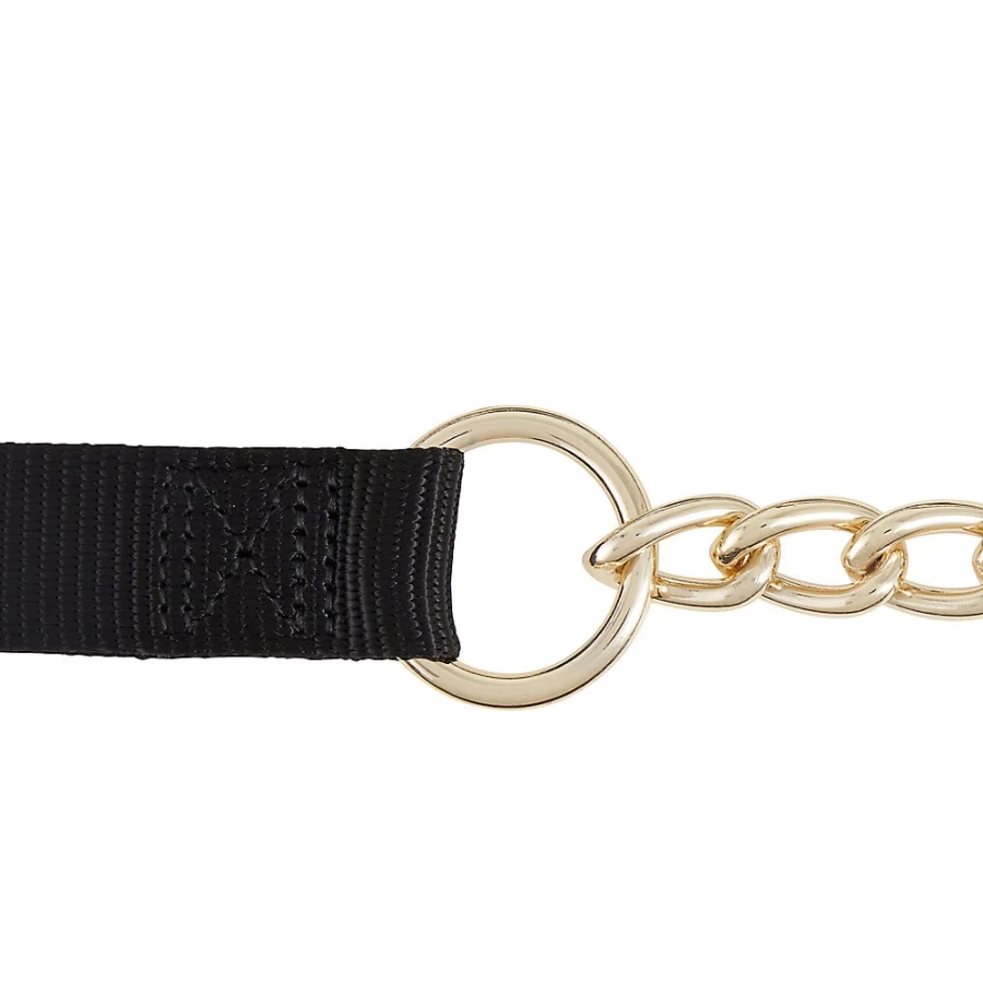 PetSmart 4-Foot Top Paw Chain Dog Leash for Secure and Durable Walks