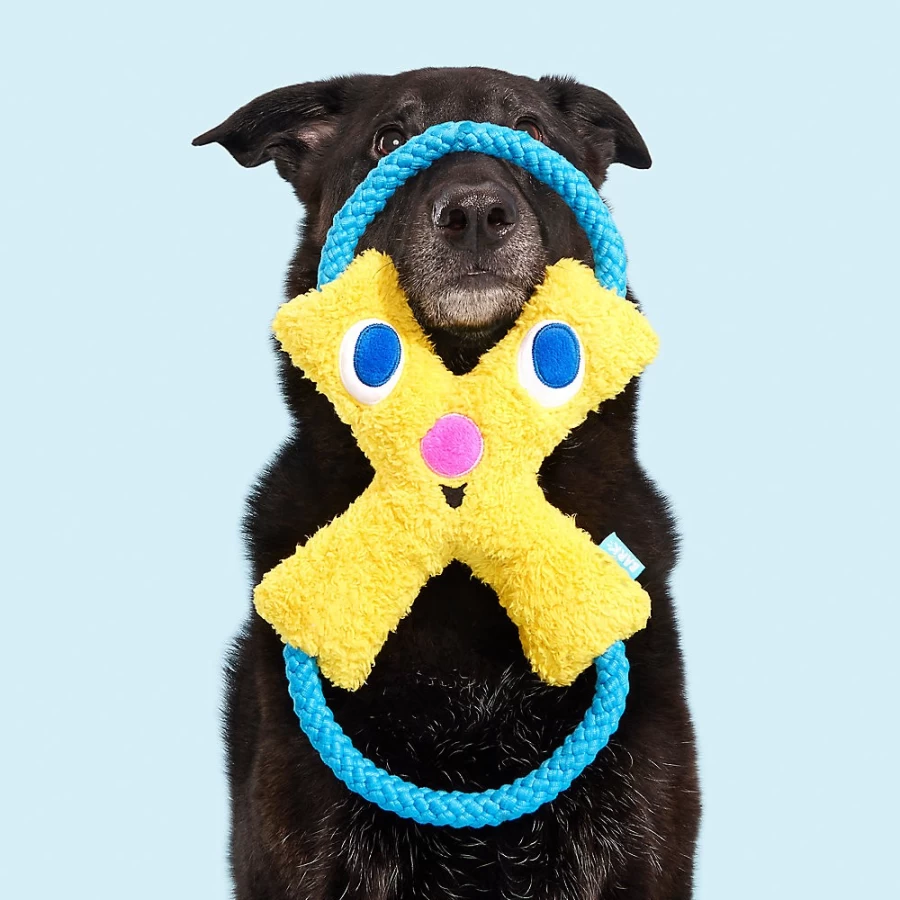 "PetSmart Bark Jinxie Interactive Dog Toy for Play & Chewing"